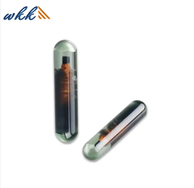 Megamos 13 Blank Glass Chip Megamos 13 Blank Glass Chip